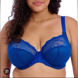 NWT Elomi Charley Underwire Blue Stretch Plunge Lace Bra | Size  40GG